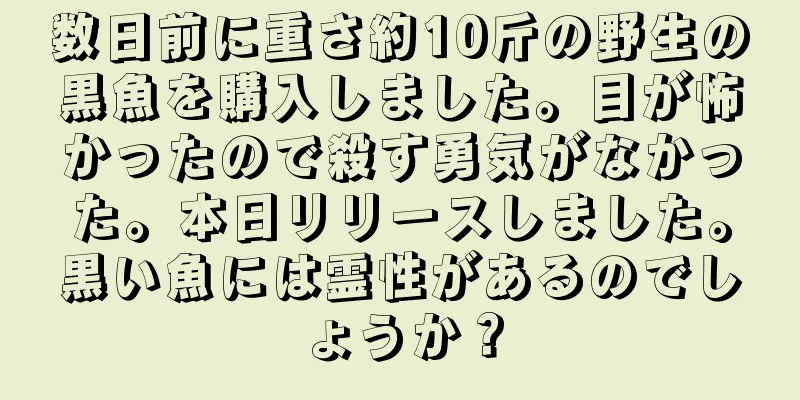 数日前に重さ約10斤の野生の黒魚を購入しました。目が怖かったので殺す勇気がなかった。本日リリースしました。黒い魚には霊性があるのでしょうか？