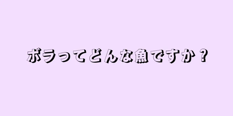 ボラってどんな魚ですか？