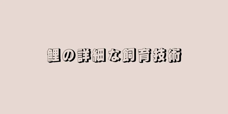 鯉の詳細な飼育技術