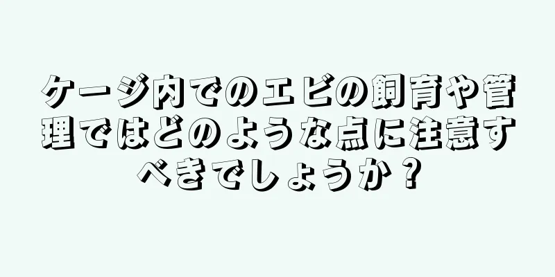 ケージ内でのエビの飼育や管理ではどのような点に注意すべきでしょうか？