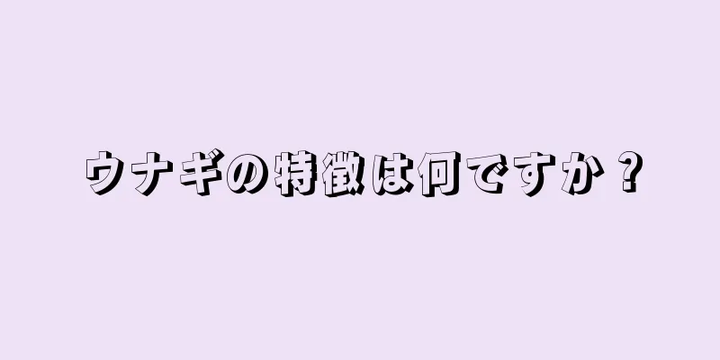 ウナギの特徴は何ですか？