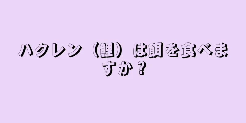 ハクレン（鯉）は餌を食べますか？