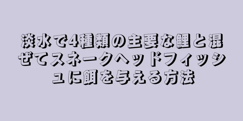 淡水で4種類の主要な鯉と混ぜてスネークヘッドフィッシュに餌を与える方法