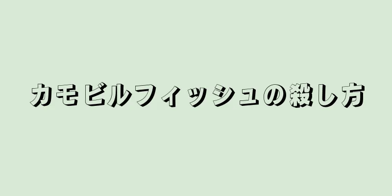 カモビルフィッシュの殺し方