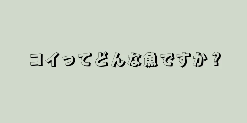 コイってどんな魚ですか？