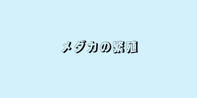 メダカの繁殖