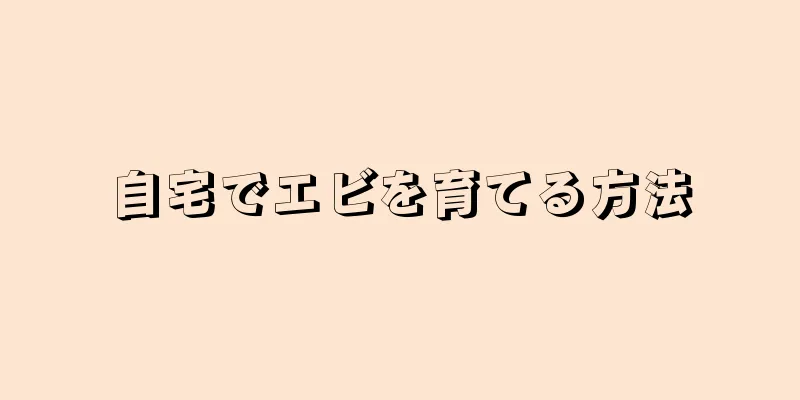 自宅でエビを育てる方法