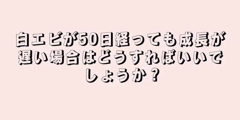 白エビが50日経っても成長が遅い場合はどうすればいいでしょうか？
