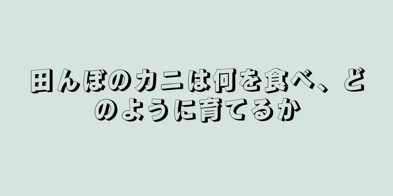 田んぼのカニは何を食べ、どのように育てるか