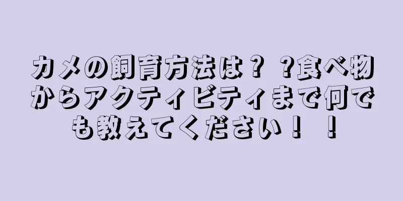 カメの飼育方法は？ ?食べ物からアクティビティまで何でも教えてください！ ！