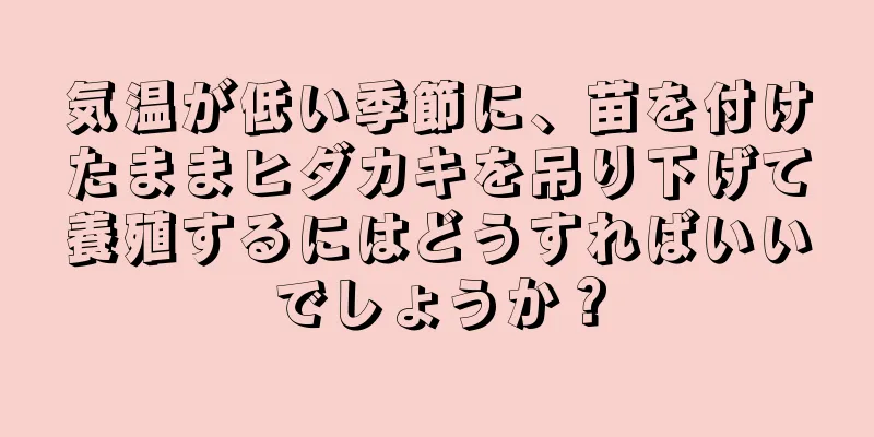 気温が低い季節に、苗を付けたままヒダカキを吊り下げて養殖するにはどうすればいいでしょうか？