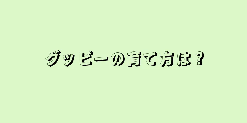 グッピーの育て方は？