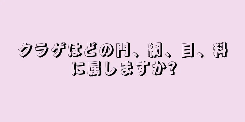 クラゲはどの門、綱、目、科に属しますか?