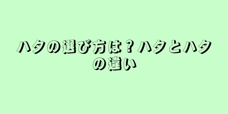 ハタの選び方は？ハタとハタの違い