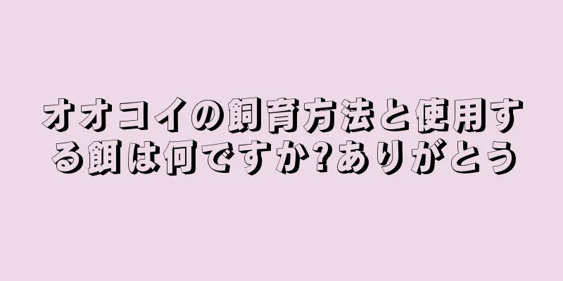 オオコイの飼育方法と使用する餌は何ですか?ありがとう