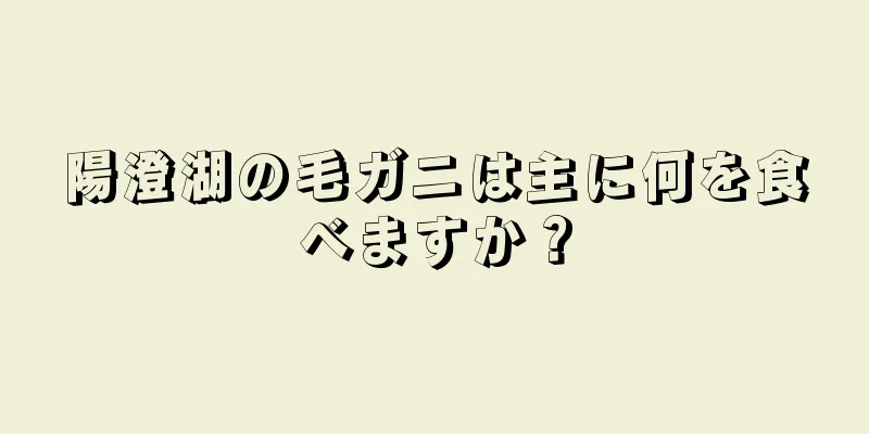 陽澄湖の毛ガニは主に何を食べますか？