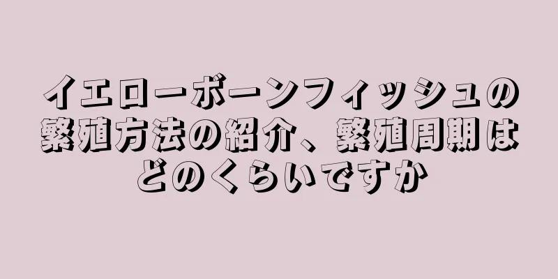 イエローボーンフィッシュの繁殖方法の紹介、繁殖周期はどのくらいですか