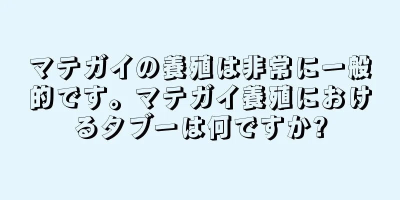 マテガイの養殖は非常に一般的です。マテガイ養殖におけるタブーは何ですか?