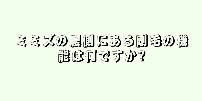 ミミズの腹側にある剛毛の機能は何ですか?