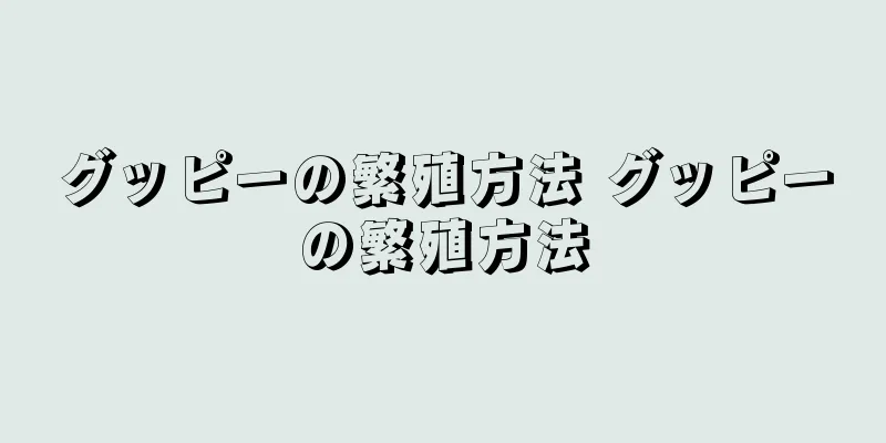 グッピーの繁殖方法 グッピーの繁殖方法