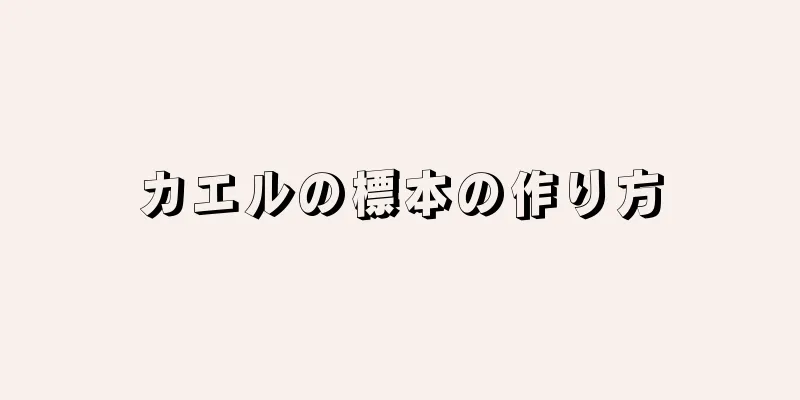 カエルの標本の作り方