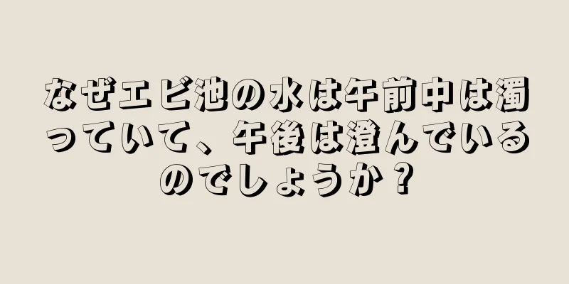なぜエビ池の水は午前中は濁っていて、午後は澄んでいるのでしょうか？