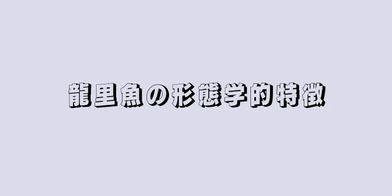 龍里魚の形態学的特徴