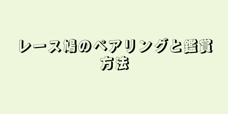 レース鳩のペアリングと鑑賞方法