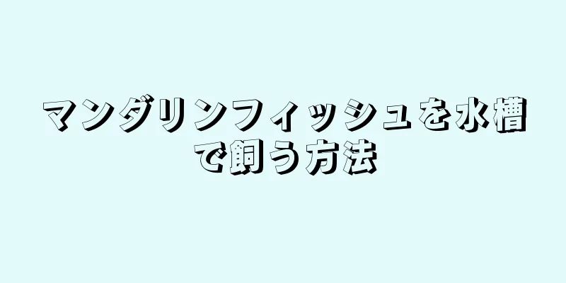 マンダリンフィッシュを水槽で飼う方法