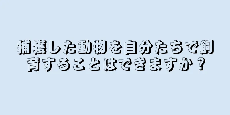 捕獲した動物を自分たちで飼育することはできますか？