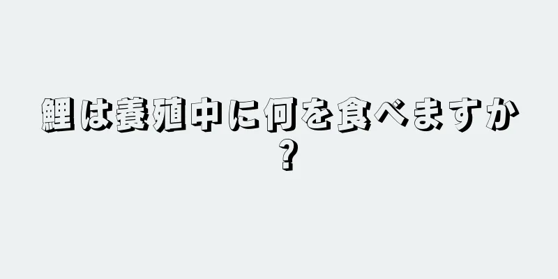 鯉は養殖中に何を食べますか？