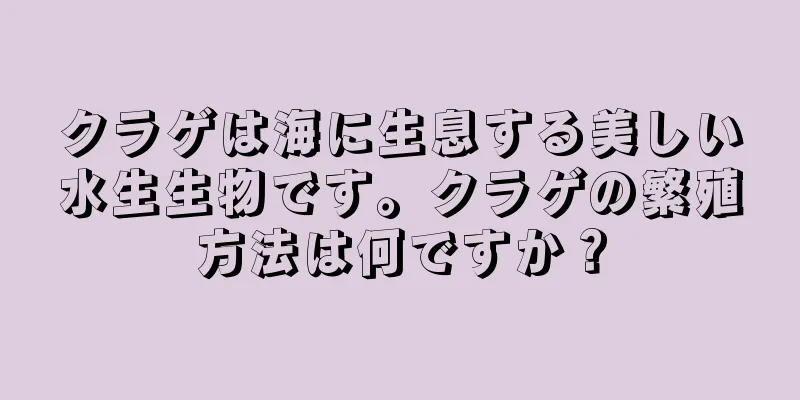 クラゲは海に生息する美しい水生生物です。クラゲの繁殖方法は何ですか？