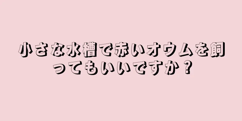 小さな水槽で赤いオウムを飼ってもいいですか？