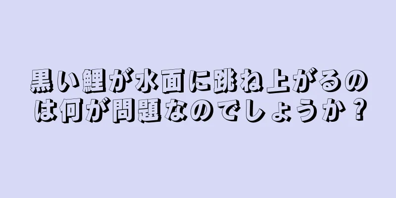 黒い鯉が水面に跳ね上がるのは何が問題なのでしょうか？