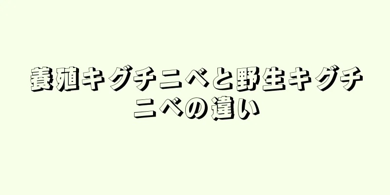 養殖キグチニベと野生キグチニベの違い