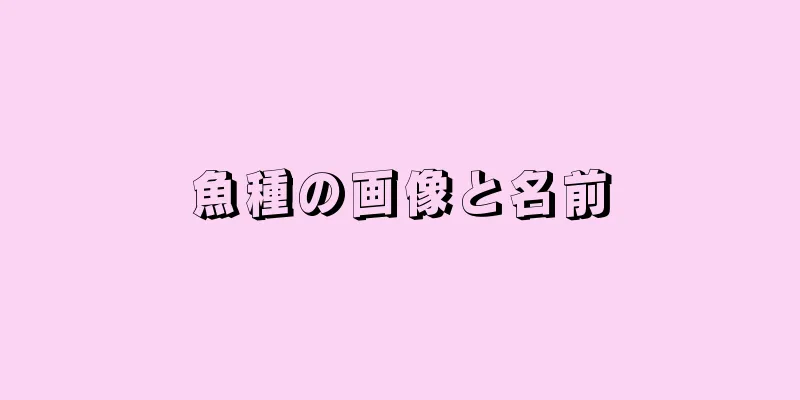魚種の画像と名前