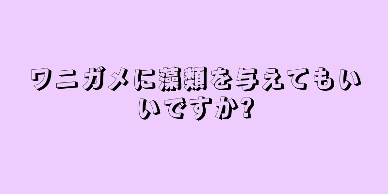 ワニガメに藻類を与えてもいいですか?