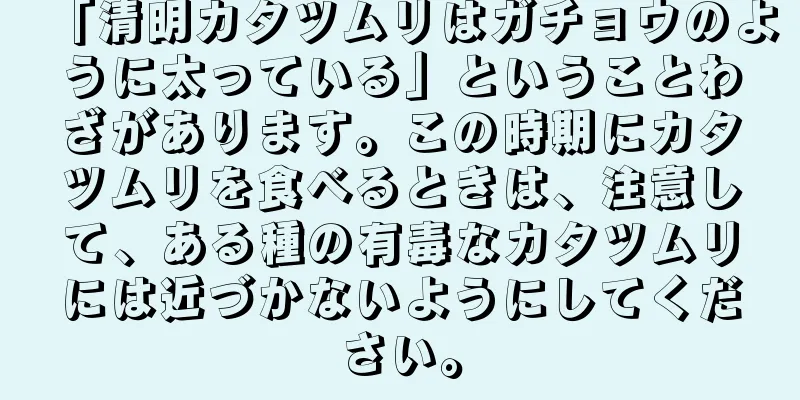 「清明カタツムリはガチョウのように太っている」ということわざがあります。この時期にカタツムリを食べるときは、注意して、ある種の有毒なカタツムリには近づかないようにしてください。