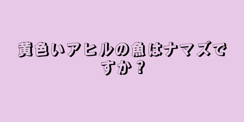 黄色いアヒルの魚はナマズですか？