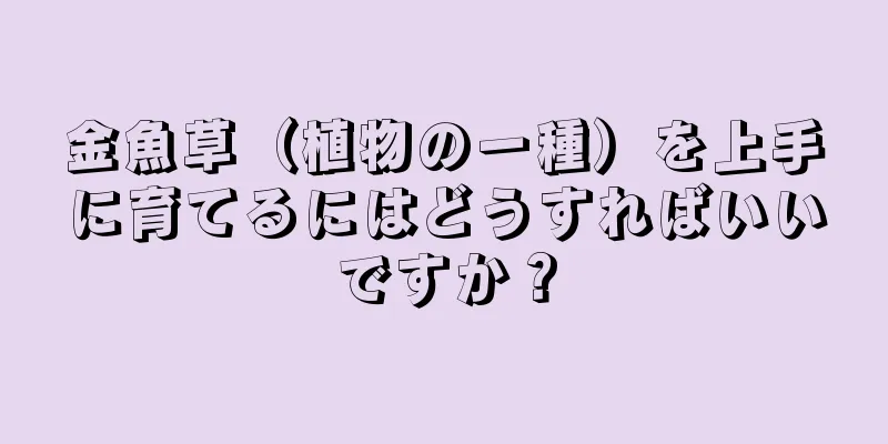 金魚草（植物の一種）を上手に育てるにはどうすればいいですか？