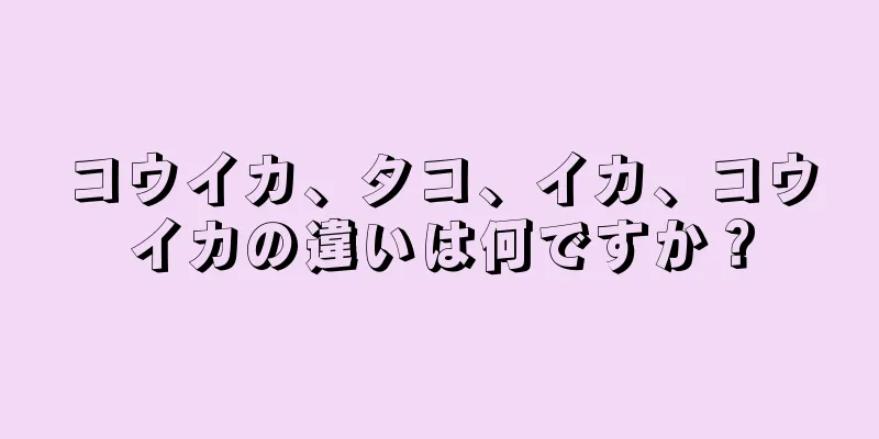 コウイカ、タコ、イカ、コウイカの違いは何ですか？