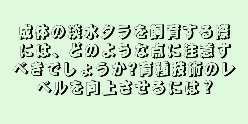 成体の淡水タラを飼育する際には、どのような点に注意すべきでしょうか?育種技術のレベルを向上させるには？