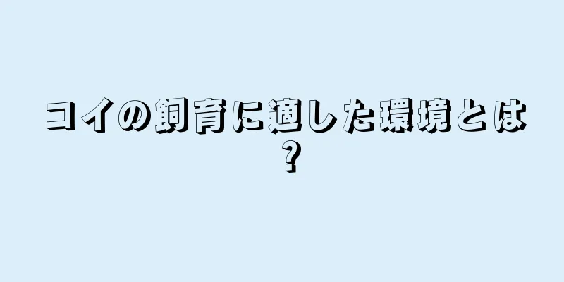 コイの飼育に適した環境とは？