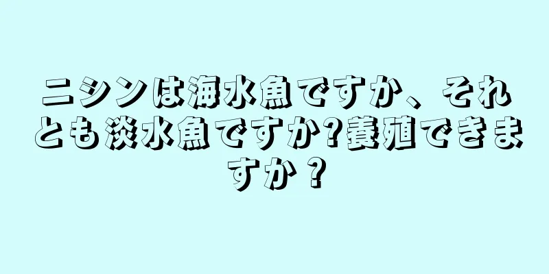 ニシンは海水魚ですか、それとも淡水魚ですか?養殖できますか？