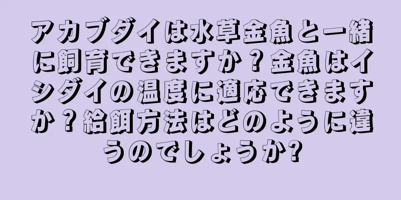 アカブダイは水草金魚と一緒に飼育できますか？金魚はイシダイの温度に適応できますか？給餌方法はどのように違うのでしょうか?