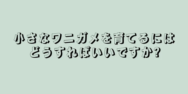 小さなワニガメを育てるにはどうすればいいですか?