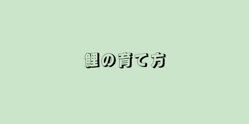 鯉の育て方