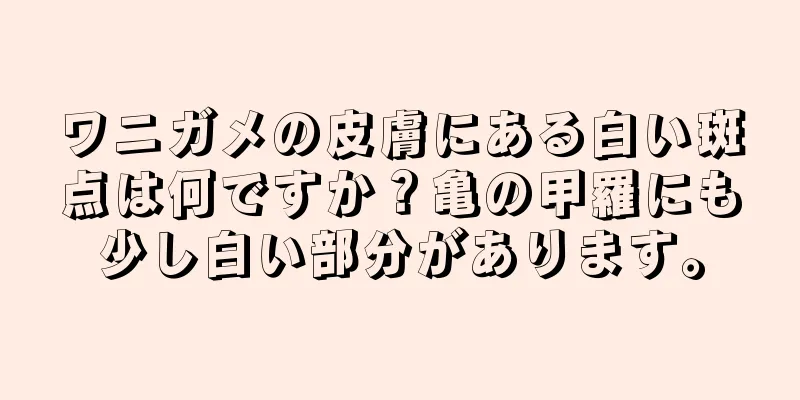 ワニガメの皮膚にある白い斑点は何ですか？亀の甲羅にも少し白い部分があります。