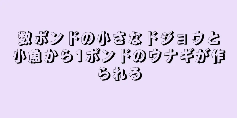 数ポンドの小さなドジョウと小魚から1ポンドのウナギが作られる