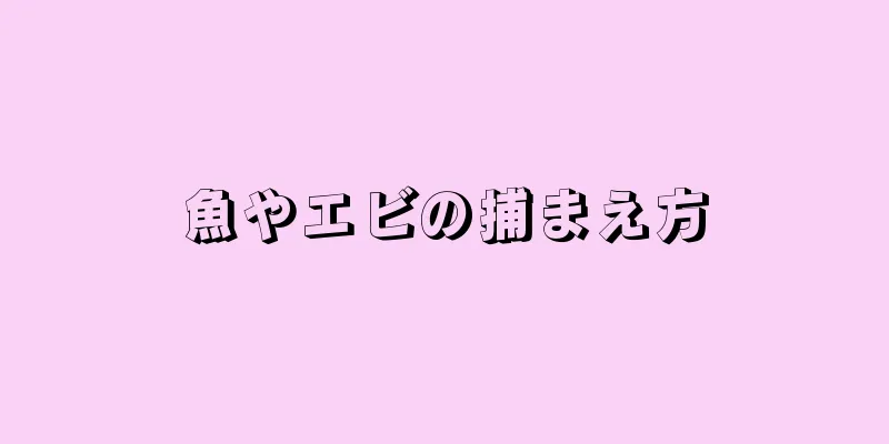魚やエビの捕まえ方